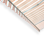 Azienda